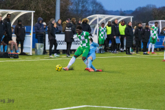 BrentwoodVsDulwichHamletFC_0-2-6594