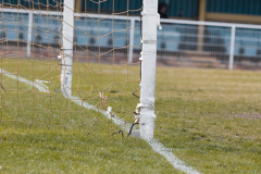 CanveyIsland_vs_DHFC-1438