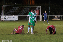 CockfostersVsDulwichHamletFC_0-1-6236