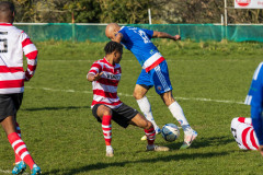 IMG_8823
