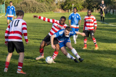 IMG_8903