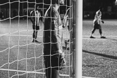 NIVAG_FisherFCVsDHFC-8922