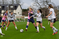 FulhamVsDulwichHamletFC_2-2-6770