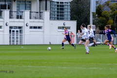 FulhamVsDulwichHamletFC_2-2-6905