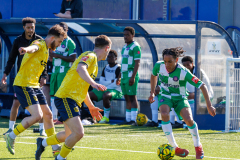 Hashtag_vs_DHFC-1796