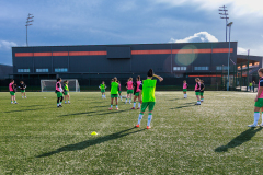 LondonBeesVsDHFCW-8484