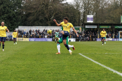 NIVAG_St-AlbansVsDHFC-23_MG_9888