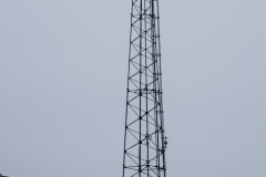 MG_1351 MG_1351